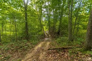 3971 Unity Rd, West Union, OH 45693 - Photo 25