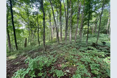 1900 Cruey Lane, Batavia Township, OH 45103 - Photo 3