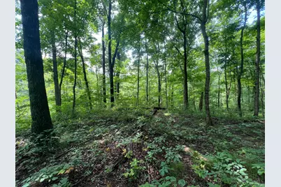 1900 Cruey Lane, Batavia Township, OH 45103 - Photo 5