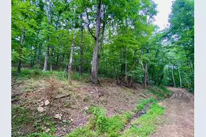 206 Thelma Lane, Blue Creek, OH 45616 - Photo 13