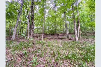 206 Thelma Lane, Blue Creek, OH 45616 - Photo 15