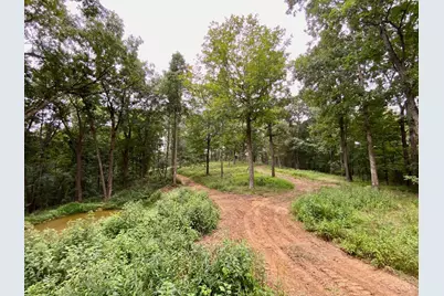 206 Thelma Lane, Blue Creek, OH 45616 - Photo 29