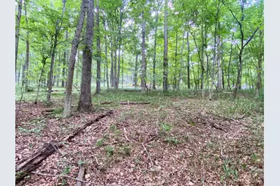 206 Thelma Lane, Blue Creek, OH 45616 - Photo 11