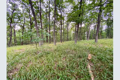 206 Thelma Lane, Blue Creek, OH 45616 - Photo 23