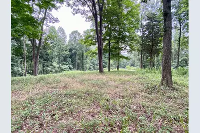 206 Thelma Lane, Blue Creek, OH 45616 - Photo 27