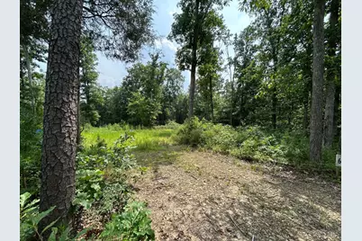 5786 St Rt 781, Peebles, OH 45660 - Photo 7