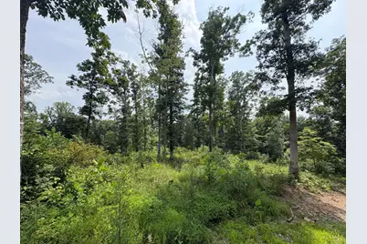5786 St Rt 781, Peebles, OH 45660 - Photo 3