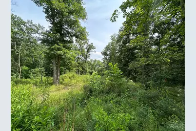5786 St Rt 781, Peebles, OH 45660 - Photo 9