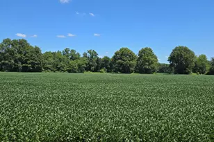 0 Fayetteville Blanchester Rd, Perry Township, OH 45107 - Photo 1