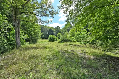 1890 Hall Fork Road, Blue Creek, OH 45616 - Photo 39