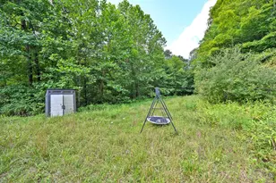 1890 Hall Fork Rd, Blue Creek, OH 45616 - Photo 31