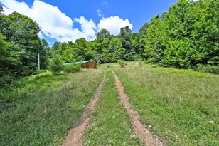 1890 Hall Fork Rd, Blue Creek, OH 45616 - Photo 37