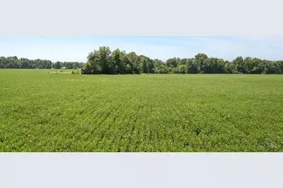 2303 Dean Road, Tate Township, OH 45106 - Photo 19