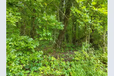 0 Moore Road, Bethel, OH 45106 - Photo 21