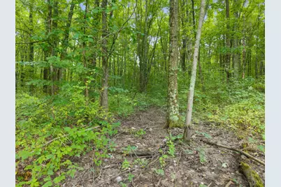 0 Moore Road, Bethel, OH 45106 - Photo 17