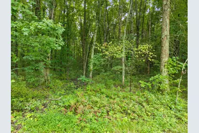 0 Moore Road, Bethel, OH 45106 - Photo 15