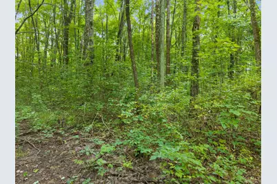 0 Moore Road, Bethel, OH 45106 - Photo 19