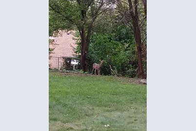 2647 Foran Drive, Cincinnati, OH 45238 - Photo 17
