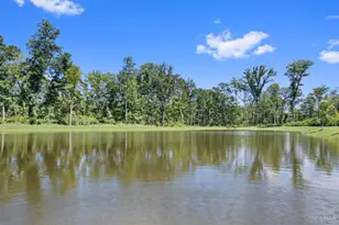 2125 Shallow Cove Ct, Goshen, OH 45122 - Photo 29