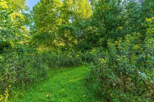 145 Tobe Lewis Rd, Lynx, OH 45650 - Photo 27