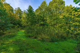 145 Tobe Lewis Rd, Lynx, OH 45650 - Photo 25