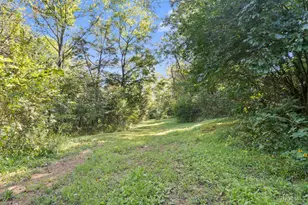 573 Hackleshin Rd, Peebles, OH 45660 - Photo 33