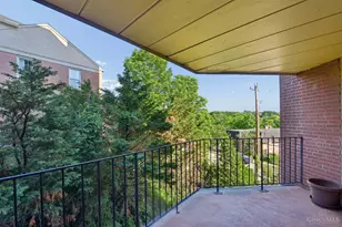 880 Rue De La Paix, Cincinnati, OH 45220 - Photo 19