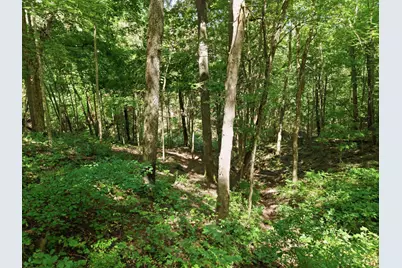 3151 Pond Run Road, Pierce Township, OH 45157 - Photo 29