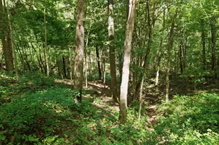 3151 Pond Run Rd, Pierce Township, OH 45157 - Photo 29