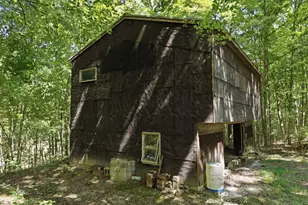 3151 Pond Run Rd, Pierce Township, OH 45157 - Photo 33