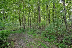 3617 St Rt 222, Batavia Township, OH 45103 - Photo 3
