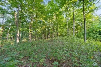 113 Waggoner Riffle Road, West Union, OH 45693 - Photo 17
