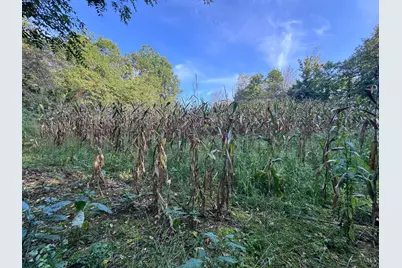 0 Swoop Road, Bethel, OH 45106 - Photo 5