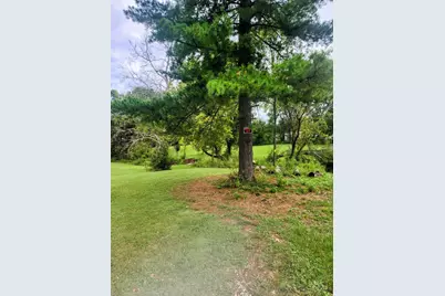 3509 Virginia Drive, Amelia, OH 45102 - Photo 15