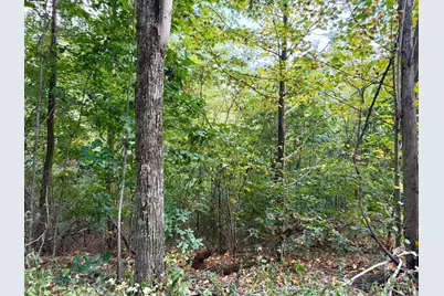 0 Roy Rogers Road, Clarksville, OH 45648 - Photo 47