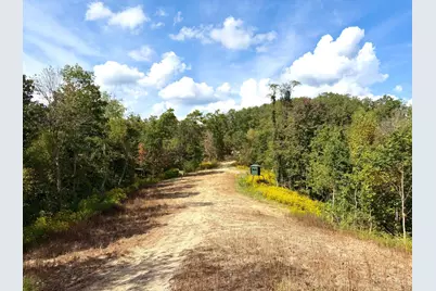 0 Roy Rogers Road, Clarksville, OH 45648 - Photo 33