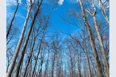 1 Snail Creek Road, Brookville, IN 47012 - Photo 13