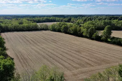 56 Strout Road, Washington Township, OH 45113 - Photo 3