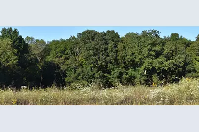 0 Sinking Springs Road, Brushcreek Township, OH 45133 - Photo 1