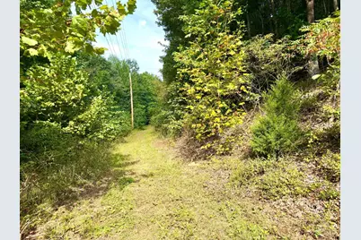 425 Earl Brown Road, Otway, OH 45657 - Photo 55