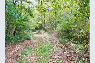 425 Earl Brown Road, Otway, OH 45657 - Photo 11