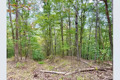 425 Earl Brown Road, Otway, OH 45657 - Photo 51