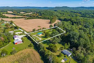 2132 Cedar Mills Rd, Blue Creek, OH 45616 - Photo 45