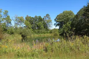 5421 Muhlbach Rd, New Market Township, OH 45133 - Photo 23