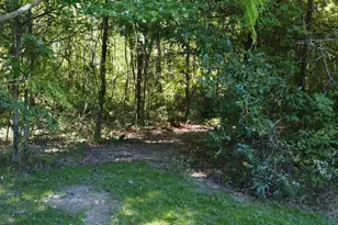 3157 US Rt 50, Perry Township, OH 45118 - Photo 97