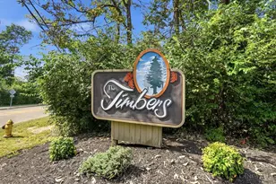 9831 Timbers Dr, Blue Ash, OH 45242 - Photo 47