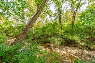 11322 Terwilligers Valley Ln, Symmes Township, OH 45249 - Photo 71