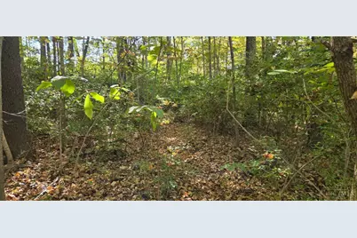 2299 St Rt 134, Sardinia, OH 45171 - Photo 5