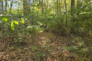 2299 St Rt 134, Sardinia, OH 45171 - Photo 5