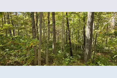 2299 St Rt 134, Sardinia, OH 45171 - Photo 27